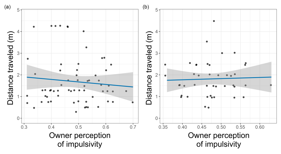 Two graphs with owner perceptions of dog impulsivity on the x-axis and distance traveled (in meters) on the y-axis. Dots represent individual subject data, with regression lines and 95% confidence interval bands. The lines are flat indicating no relationship between the variables.