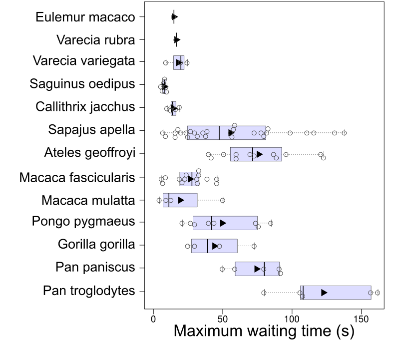 Graph of maximum waiting time (in seconds) on the x-axis and 13 primate species on the y-axis. Each species shows the individual subject data as circles, species means as filled triangles, and a boxplot.