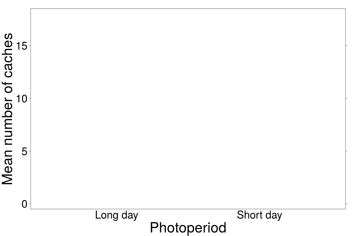 Blank graph of photoperiod categories of long day and short day on the x-axis and mean number of caches on the y-axis.