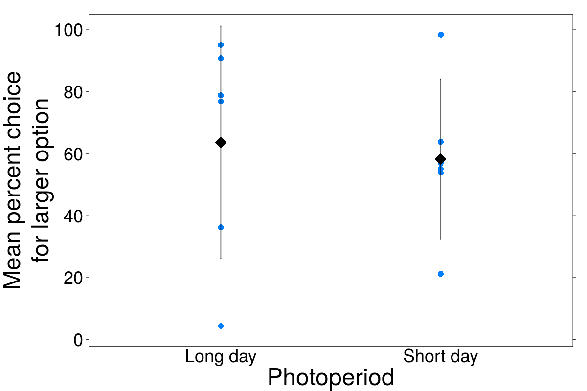 Blank graph of photoperiod categories of long day and short day on the x-axis and mean percent choice for larger option on the y-axis. Dots are individual data points, with means as diamonds and 95% confidence intervals as error bars. The mean of the short delay data similar to the long delay data.