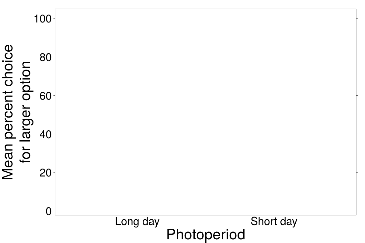 Blank graph of photoperiod categories of long day and short day on the x-axis and mean percent choice for larger option on the y-axis.